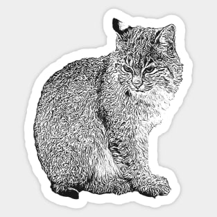 Bobcat cub Sticker